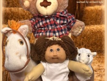 Maple Maren - ready for a gentle forever where she can be warmed by orchard light